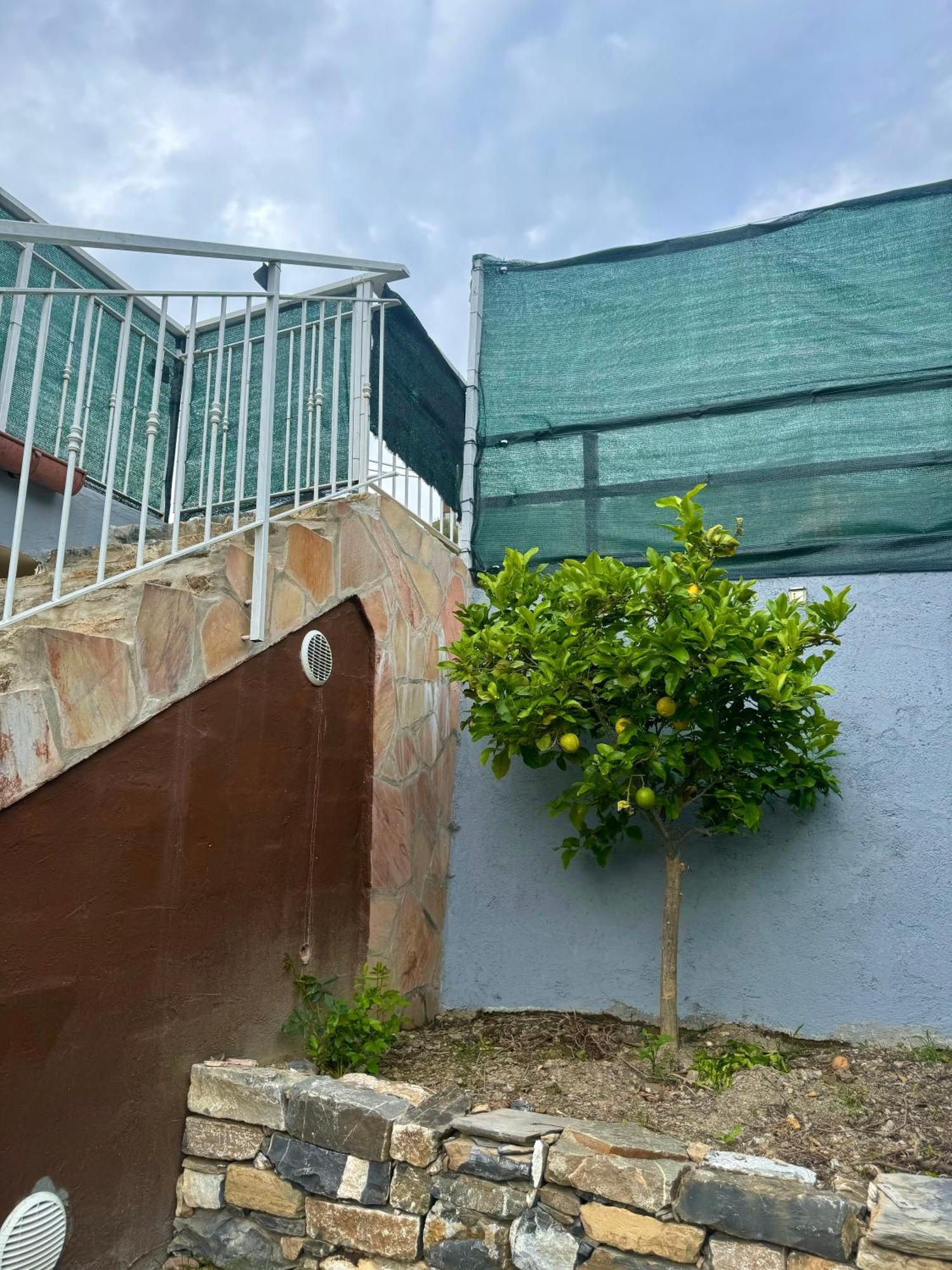 Ligo Bed and Breakfast Villanova d'Albenga Εξωτερικό φωτογραφία