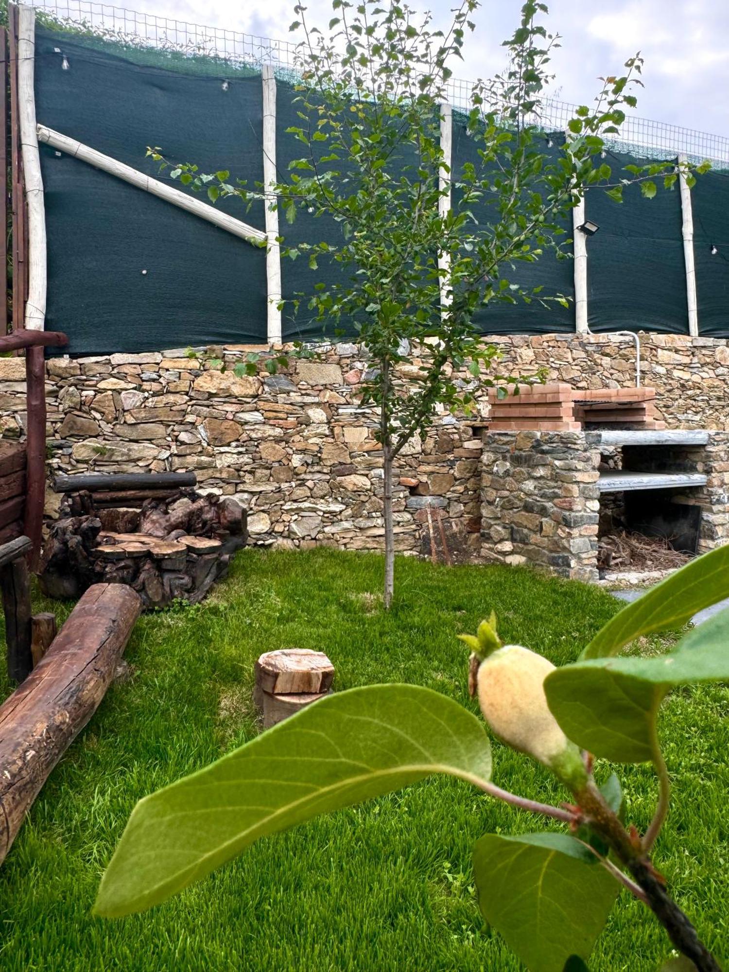 Ligo Bed and Breakfast Villanova d'Albenga Εξωτερικό φωτογραφία